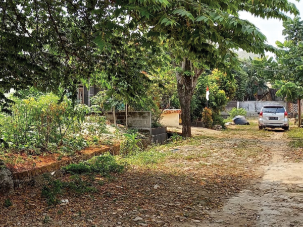 Tanah, Babakan Madang Bogor - Image 2